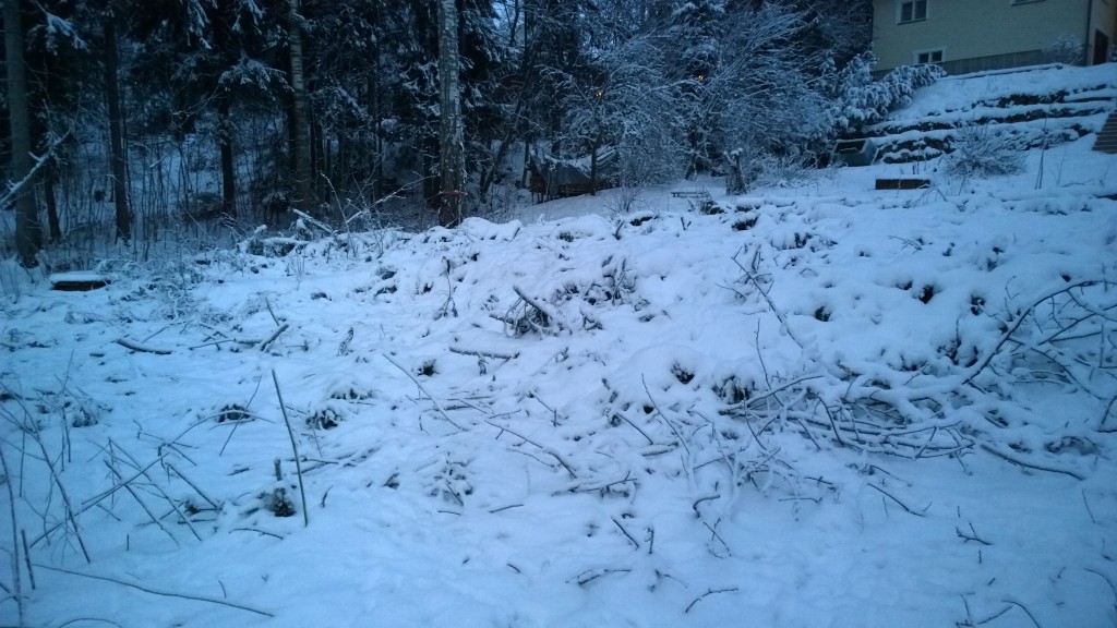 Oksat ja risut läjässä, tosin lumen alla.